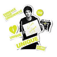 0051141380001 - 1 X ONE DIRECTION LIMITED EDITION 1D + OD TOGETHER LOCKER DECALS, ZAYN - UNIQUE, NEON YELLOW