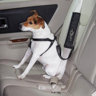 5147841597650 - GUARDIAN GEAR RIDE RIGHT SEAT BELT CONNECTORS - POLYESTER SEAT BELT CONNECTORS FOR DOGS, BLACK