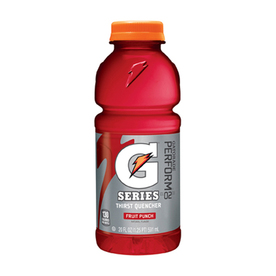 0052000328660 - THIRST QUENCHER FRUIT PUNCH