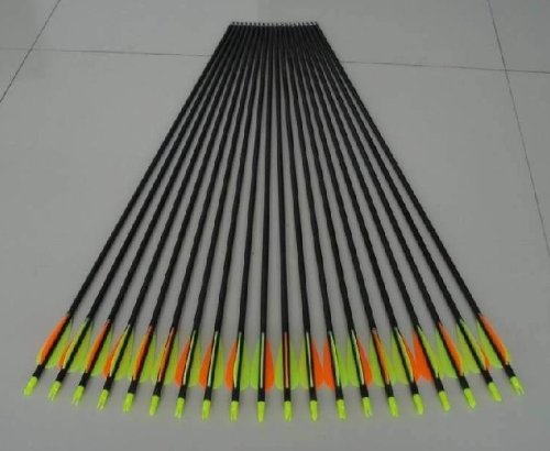 0520361230859 - 12 PCS 30 GOLDEN POWER FIBERGLASS PRACTICE/HUNTING ARROWS W/CHANGEABLE POINT FOR RECURVE BOW OR TRADITIONAL BOW