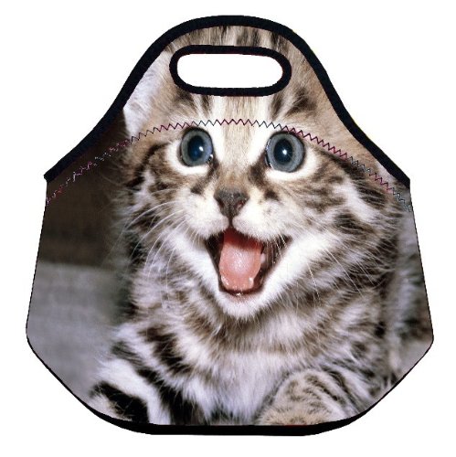 0520751532600 - SMLIE CAT SOFT INSULATED LUNCH BOX FOOD BAG NEOPRENE GOURMET HANDBAG LUNCHBOX COOLER WARM POUCH TOTE BAG FOR SCHOOL WORK