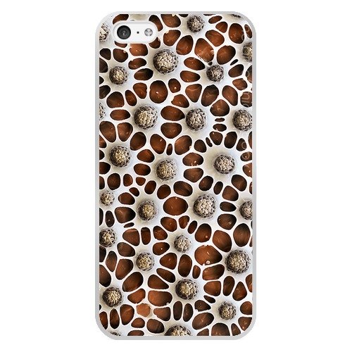 5209190603878 - LZB THE FINE ART OF MICROSC PATTERN TPU PLASTIC CASE FOR IPHONE 5C (WHITE)