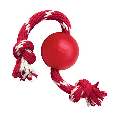 0522180468673 - KONG GOODIE BONE DOG TOY, SMALL, RED
