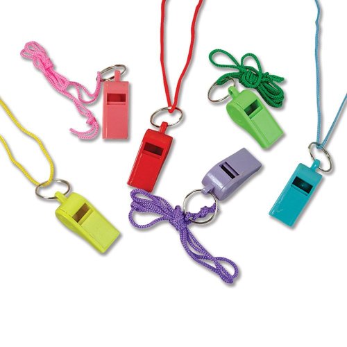 5334999165729 - RHODE ISLAND NOVELTY 12 NEON PLASTIC WHISTLE NECKLACES ON NYLON BRAIDED CORD