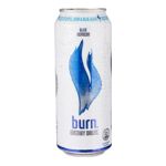 5449000159519 - BOITE BURN DAY REFERMABLE | BOITE BURN DAY REFERMABLE 485ML