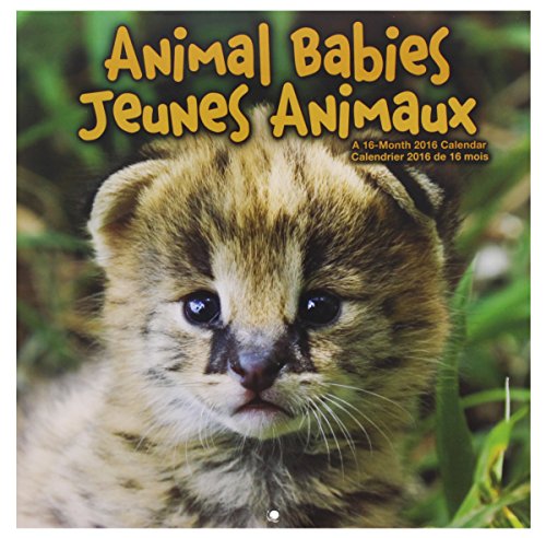 0057668863652 - 2016 MONTHLY WALL CALENDAR - WIDELIFE ANIMAL BABIES - ENGLISH & FRENCH
