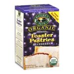 0058449410010 - NATURE'S PATH | NATURE'S PATH ORGANIC FROSTED TOASTER PASTRIES, BUNCHA BLUEBERRIES, 6-COUNT BOXES (PACK OF 12)