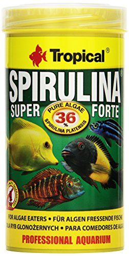 5900469772348 - TROPICAL FISH FOOD, SUPER SPIRULINA FORTE FLAKE