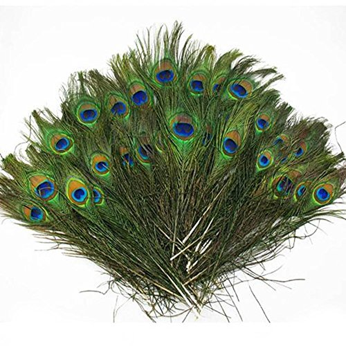 6004464682684 - 500PCS LOTS REAL NATURAL PEACOCK TAIL EYES FEATHERS 8-12 INCHES / ABOUT 23-30CM