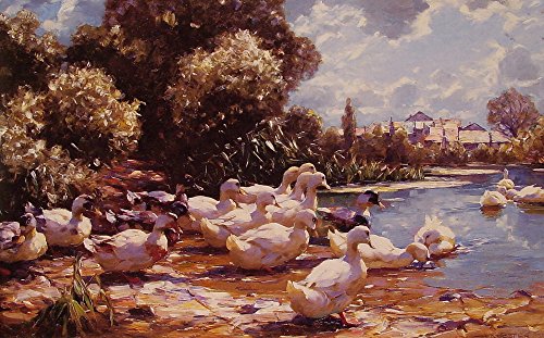 0600748274840 - GENERIC MIDDAY SWIM OIL PAINTING NO FRAME 20X24 INCH