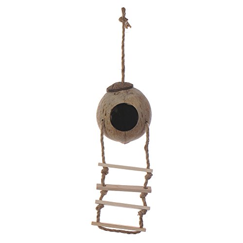 0600831501068 - ZN NATURALS COCO HIDEAWAY WITH LADDER BIRD TOY FOR PARROT BIRD PLAYTIME
