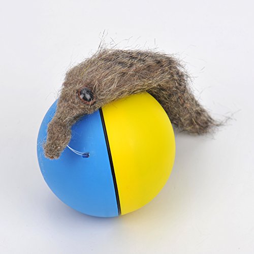0600831520953 - ZN PET TOYS BALL BATTERY OPERATED MOTION TOY DOG TOY CAT TOY (RANDOM COLOR)