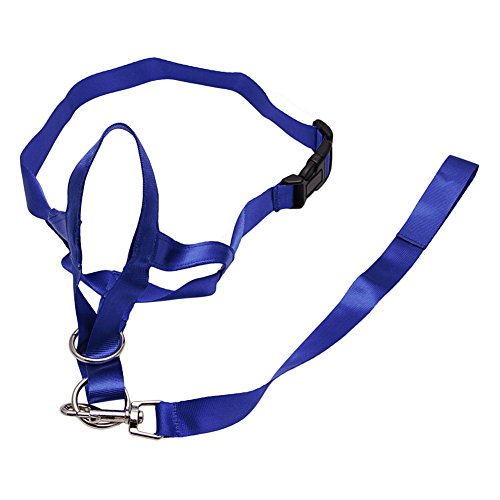 6010998671698 - LAYS PET DOG PADDED LEADER HEAD COLLAR HALTER FOR STOP PULLING TRAINING NOSE REIGNS (L, BLUE)