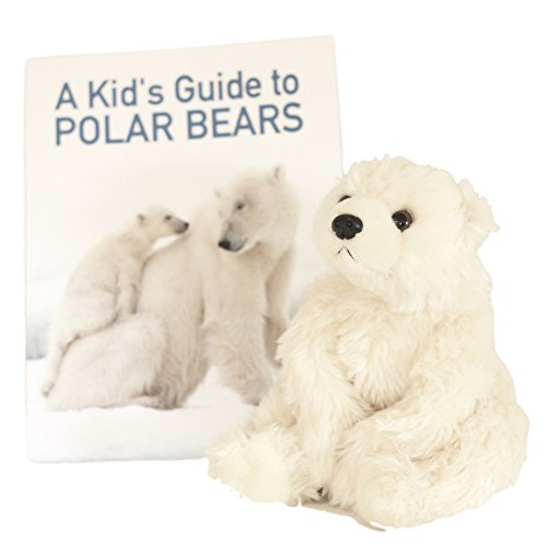 0601393888802 - PLUSH TOY POLAR BEAR WITH PICTURE BOOK - GIFT SET \ BUNDLE FOR KIDS WHO LOVE SOFT & CUDDLY STUFFED ANIMALS (AGES 3-6)