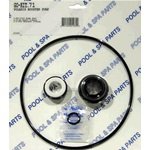 0601402254642 - POLARIS BOOSTER PUMPGASKET & O-RING KIT GO-KIT 71 WITH SMALL PACKAGE OF MAGIC LUBE