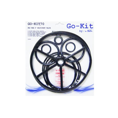 0601402254680 - PAC FAB MULTIPORT VALVE 2 GASKET & O-RING KIT GO-KIT 70 WITH SMALL PACKAGE OF MAGIC LUBE