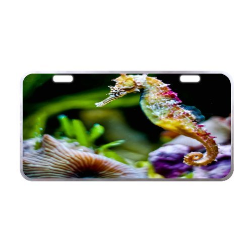 6031621471089 - 11.8 X 6.1 GREAT DISCOUNT BEAUTIFUL SEAHORSE UNDERWATER ANIMAL DEEP SEA OCEAN HORSE METAL LICENSE PLATE FOR CAR MADE FROM ALUMINUM£¨SILVER TRIM£©
