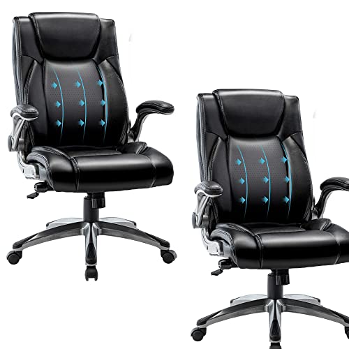 0605129074316 - AFO EXECUTIVE OFFICE ERGONOMIC CHAIR WITH FLIP-UP ARMRESTS, HIGH BACK ADJUSTABLE HEIGHT, TILT AND BUILT-IN LUMBAR SUPPORT FOR COMFORT, 250LBS, BLACK-2SET