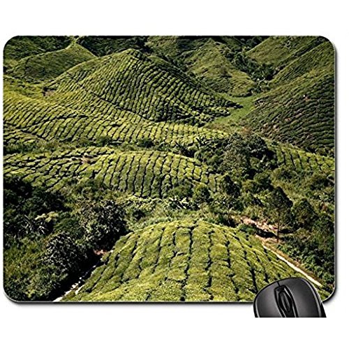 6081541179176 - TAPETE VERDE NON-SLIP RUBBER GAMING MOUSE PAD SIZE 9 INCH(220MM) X 7 INCH(180MM) X 1/8(3MM) (MOUNTAINS MOUSE PAD)
