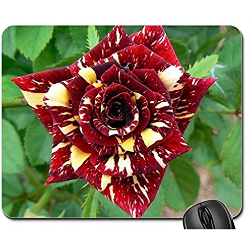 6081541180882 - ABRACADABRA ROSE NON-SLIP RUBBER GAMING MOUSE PAD SIZE 9 INCH(220MM) X 7 INCH(180MM) X 1/8(3MM) (FLOWERS MOUSE PAD)