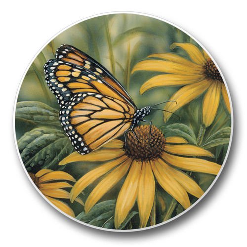 0608814001338 - MONARCH BUTTERFLY - AUTO COASTER