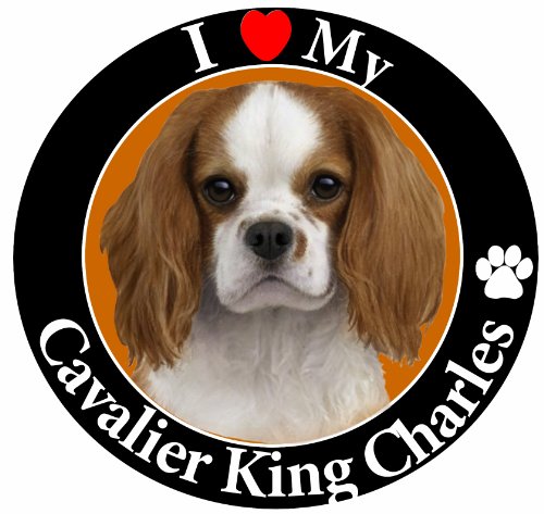 0608938520883 - I LOVE MY KING CHARLES CAVALIER CAR MAGNET WITH REALISTIC LOOKING KING CHARLES CAVALIER PHOTOGRAPH IN THE CENTER COVERED IN HIGH QUALITY UV GLOSS FOR WEATHER AND FADING PROTECTION CIRCLE SHAPED MAGNET MEASURES 5.25 INCHES DIAMETER