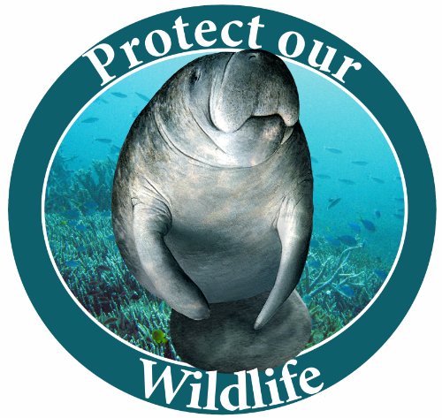 0608938521484 - PROTECT OUR WILDLIFE CAR MAGNET WITH REALISTIC LOOKING MANATEE PHOTOGRAPH IN THE CENTER COVERED IN HIGH QUALITY UV GLOSS FOR WEATHER AND FADING PROTECTION CIRCLE SHAPED MAGNET MEASURES 5.25 INCHES DIAMETER