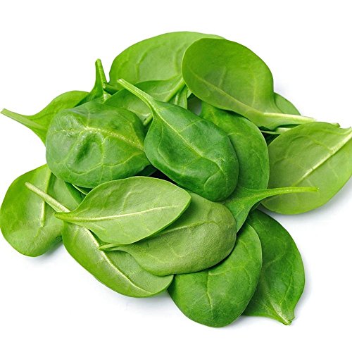0610738242643 - GENERIC 2000 SPINACH VEGETABLE SEEDS HIGH GERMINATION