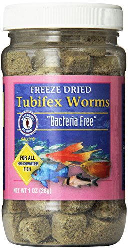 0611101772729 - SAN FRANCISCO BAY BRAND ASF71510 FREEZE DRIED TUBIFEX WORMS FOR FRESHWATER FISH, 28GM