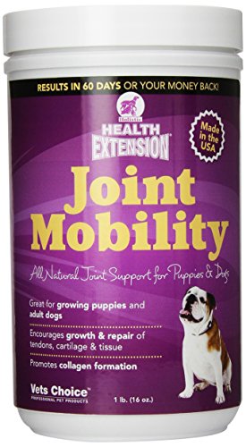 0611102188208 - HEALTH EXTENSION JOINT MOBILITY POWDER - 1 LB.