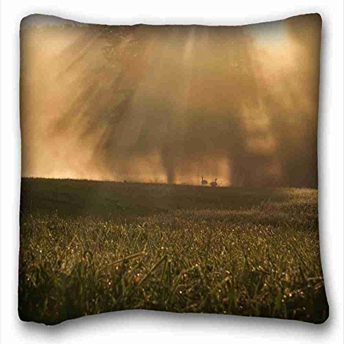 6116354182454 - CUSTOM CHARACTERISTIC NATURE ZIPPERED BODY PILLOW CASE COVER SIZE 16X16 SUITABLE FOR X-LONG TWIN-BED