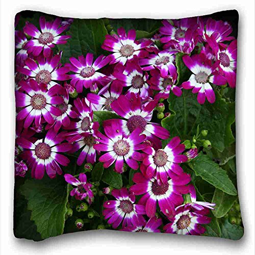 6116354356039 - CUSTOM ( NATURE FLOWERS CINERARIA ) SOFT PILLOW CASE COVER 16*16 INCH (ONE SIDES)ZIPPERED PILLOWCASE SUITABLE FOR KING-BED PC-BLUISH-7249