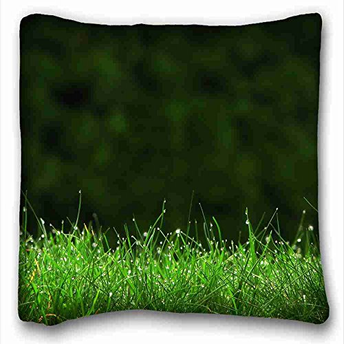 6116354424844 - GENERIC PERSONALIZED ( NATURE GRASS DROPSS LAWN IMAGES DEW ) PILLOWCASE STANDARD SIZE 16X16 DESIGN PILLOW CASE COVER SUITABLE FOR TWIN-BED PC-GREEN-7977
