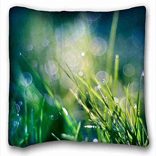 6116354555999 - CUSTOM COTTON & POLYESTER SOFT ( NATURE PLANTS GREEN NATURE GRASS HEAVEN BOKEH WATER DROPS MACRO DEW ) PILLOW CUSHION CASE COVER ONE SIDES PRINTED 16X16 INCHES SUITABLE FOR TWIN-BED PC-BLUISH-9445