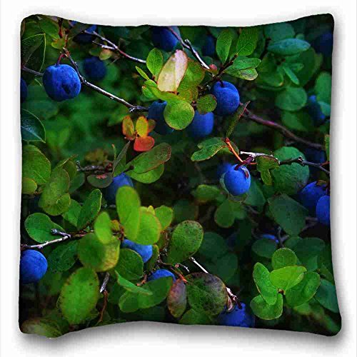 6116354563109 - SOFT PILLOW CASE COVER ( NATURE PLANT TEREN FRUIT LEAVES ) POPULAR 16X16 INCH ONE SIDE PIZZA RECTANGLE PILLOWCASE SUITABLE FOR X-LONG TWIN-BED