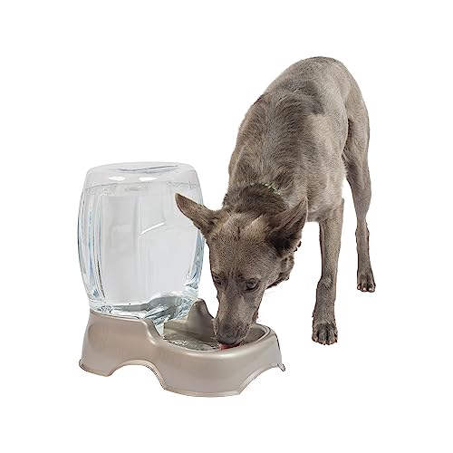 6119729498419 - PETMATE PET CAFE WATERER CAT AND DOG WATER DISPENSER 4 SIZES, 3 GAL, PEARL TAN, MADE IN USA