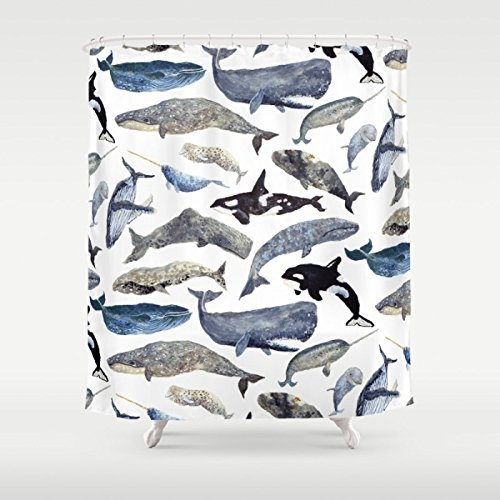 6131945759488 - GERENIC WHALE SONG SHOWER CURTAIN 66-72INCH