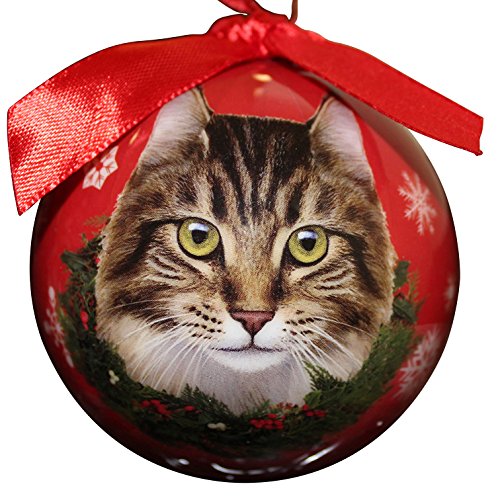 0616316773837 - MAINE COONE CAT CHRISTMAS ORNAMENT SHATTER PROOF BALL EASY TO PERSONALIZE A PERFECT GIFT FOR MAINE COONE CAT LOVERS