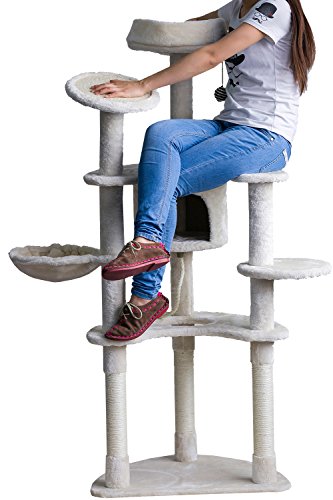 6166633157376 - MERAX CARB-CERTIFIED NEW DESIGN CAT HOUSE CAT ACTIVITY TREE FUNITURE (NO.2)