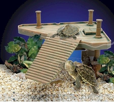 0617407537499 - REPTOLOGY SMALL TURTLE PIER