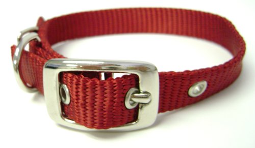 0617407661804 - HAMILTON 5/8-INCH BY 14-INCH SINGLE THICK NYLON DELUXE DOG COLLAR, RED