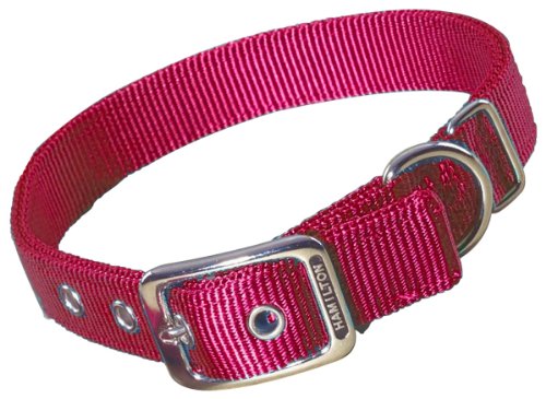 0617407662078 - HAMILTON DOUBLE THICK NYLON DELUXE DOG COLLAR, 1-INCH BY 20-INCH, RED