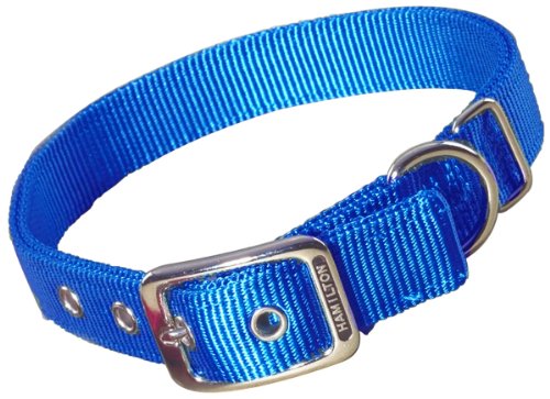0617407662177 - HAMILTON DOUBLE THICK NYLON DELUXE DOG COLLAR, 1-INCH BY 28-INCH, BLUE