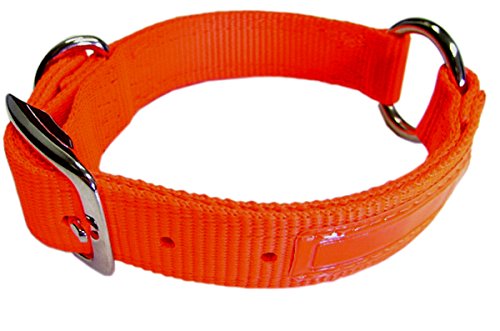 0617407662870 - HAMILTON 1-INCH DOUBLE THICK SAFE RITE DOG COLLAR WITH CENTER RING, 28-INCH LENGTH, ORANGE