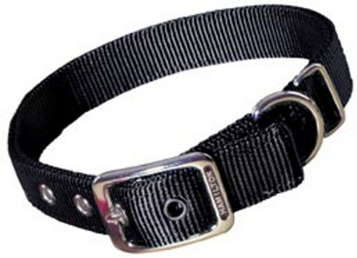0617407665284 - HAMILTON DOUBLE THICK NYLON DELUXE DOG COLLAR, 1-INCH BY 32-INCH, BLACK