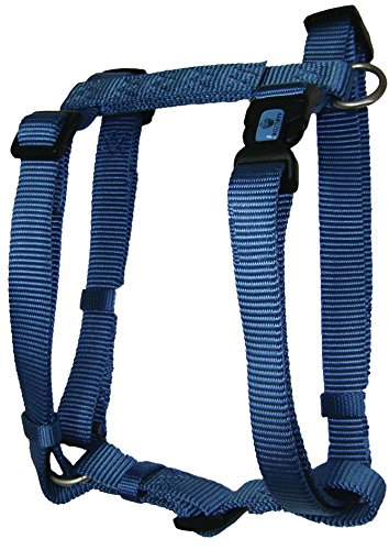 0617407672282 - HAMILTON B CFA LGOC ADJUSTABLE COMFORT DOG HARNESS FITS CHEST SIZE 30 TO 40-INCH WITH BRUSHED HARDWARE RING, LARGE, OCEAN BLUE
