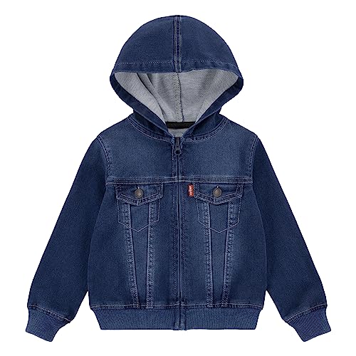 0617844265474 - LEVIS BABY HOODIE, WAVERLY, 3T