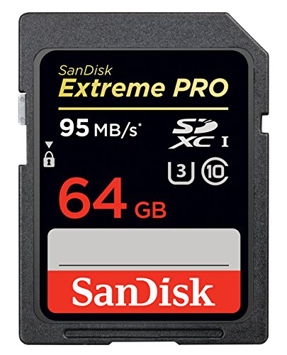 0619659079314 - SANDISK EXTREME PRO SDSDXPA-064G-X46 SDXC FLASH MEMORY CARD WITH UP TO 95MB/S