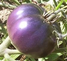 6208542933686 - 100 SEEDS - GIANT MONSTER TOMATO SEEDS EASY PLANTING FARMING FREE SHIPPING VEGETALES TOMATE SEMILLAS
