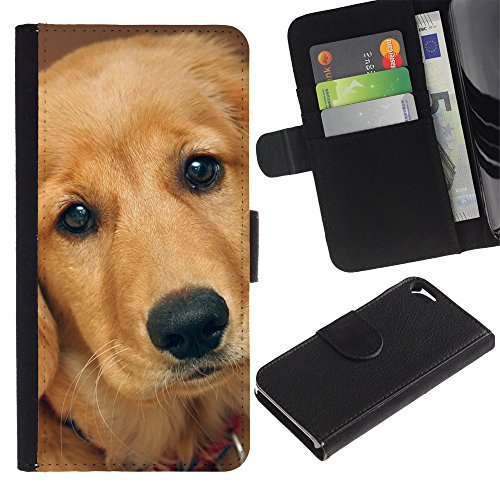 6229554070763 - BE GOOD PHONE ACCESSORY // LEATHER WALLET CASE CARD HOLDER FLIP POUCH FOR APPLE IPHONE 5 / 5S // LABRADOR RETRIEVER GOLDEN DOG